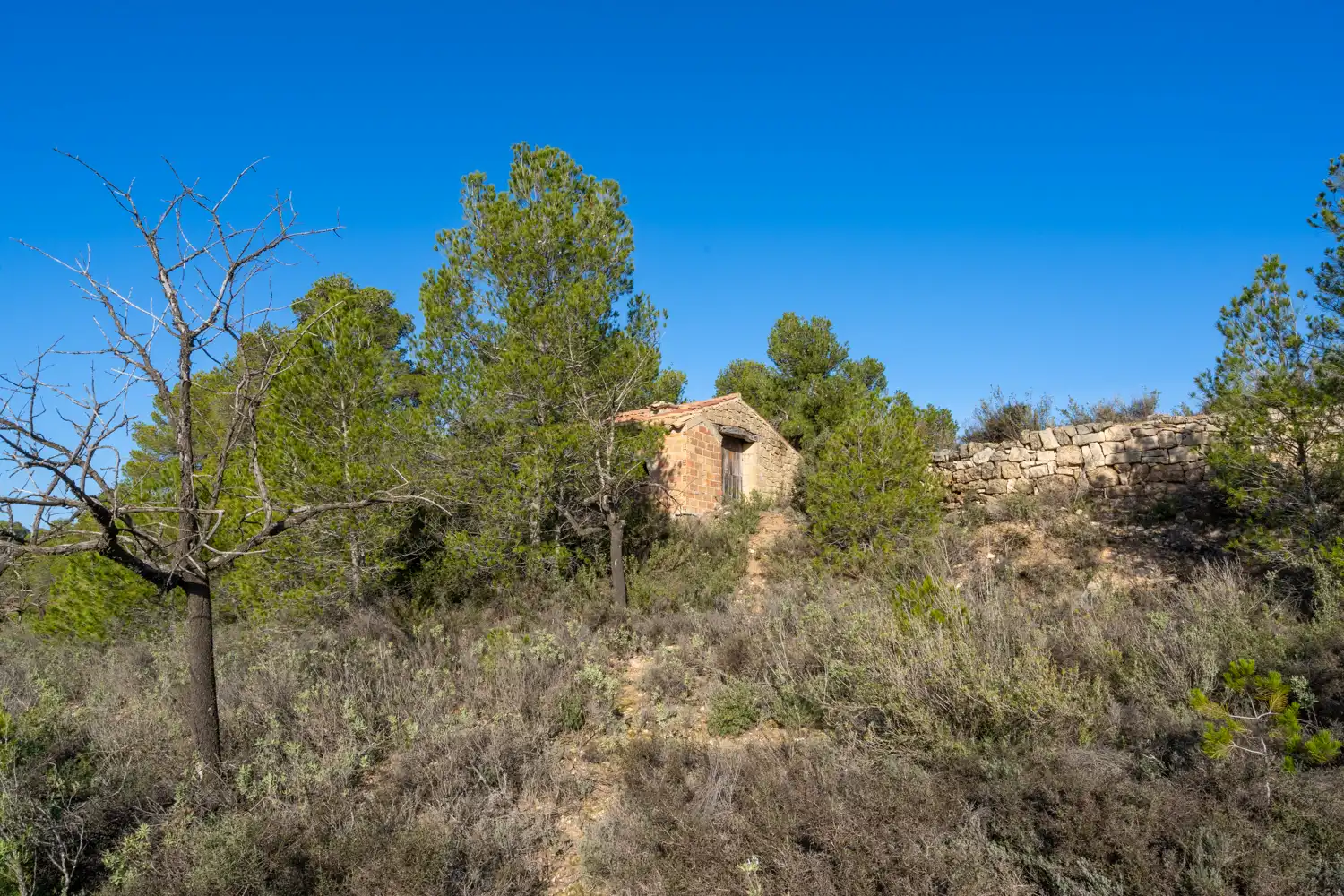 Rural land for sale in Plaça de l'Esglesia 4, imagen 8