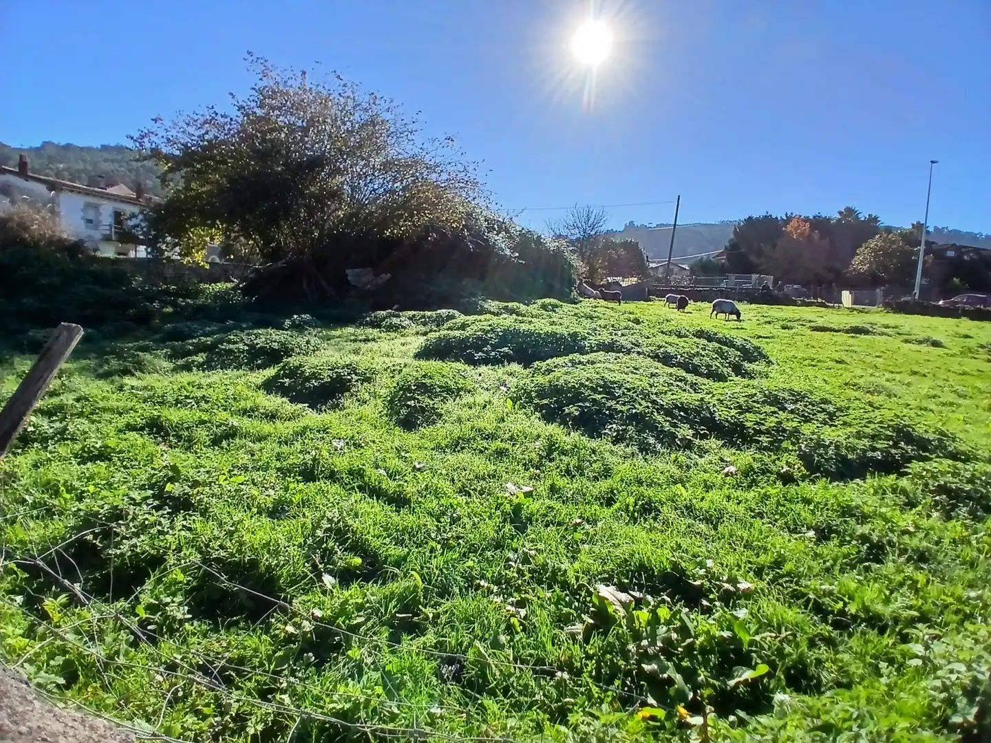 Terreno residencial en venta en Guriezo, imagen 9