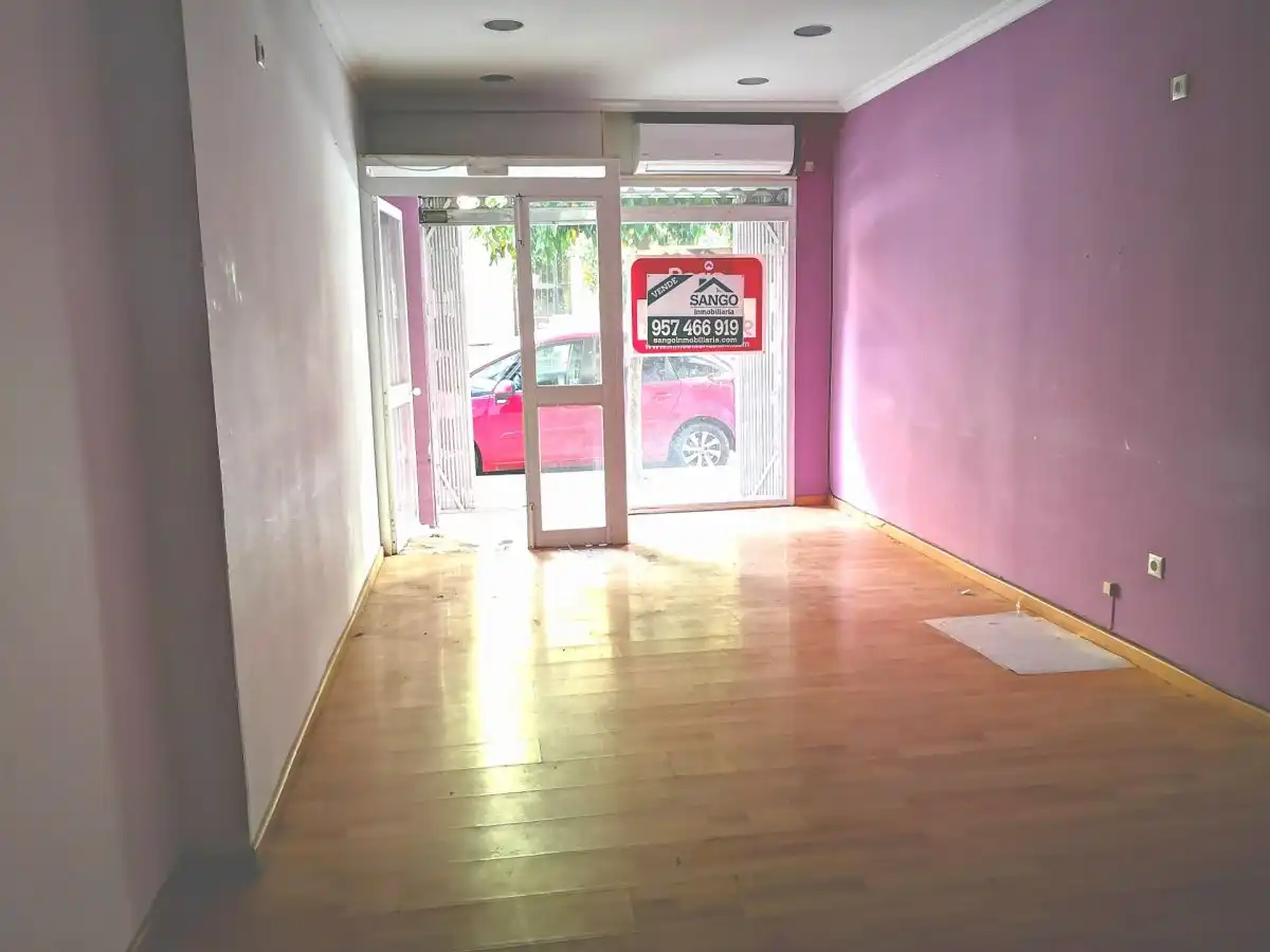 Business premises for sale in Poniente-Sur, imagen 18