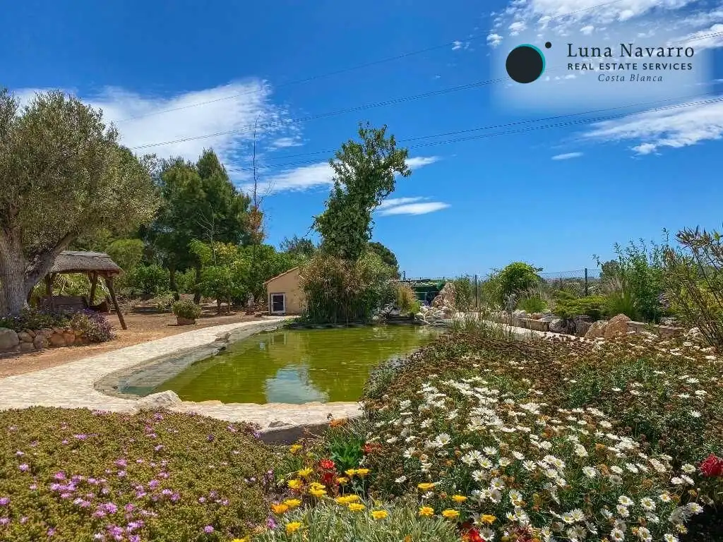 Casa con piscina en venta en Partida barranquet, imagen 37
