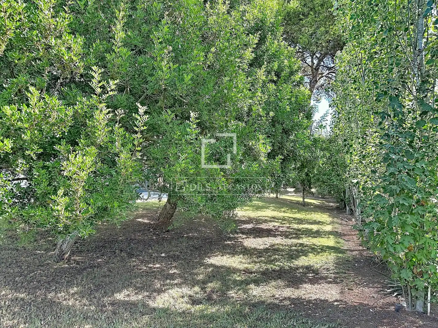 Xalet amb terrassa en venda a Cala Blanca, imagen 63