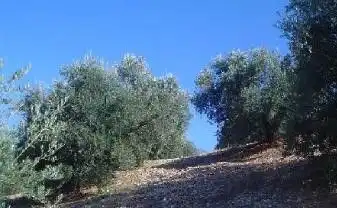 Terreni e lotti in vendita a Puente de Génave