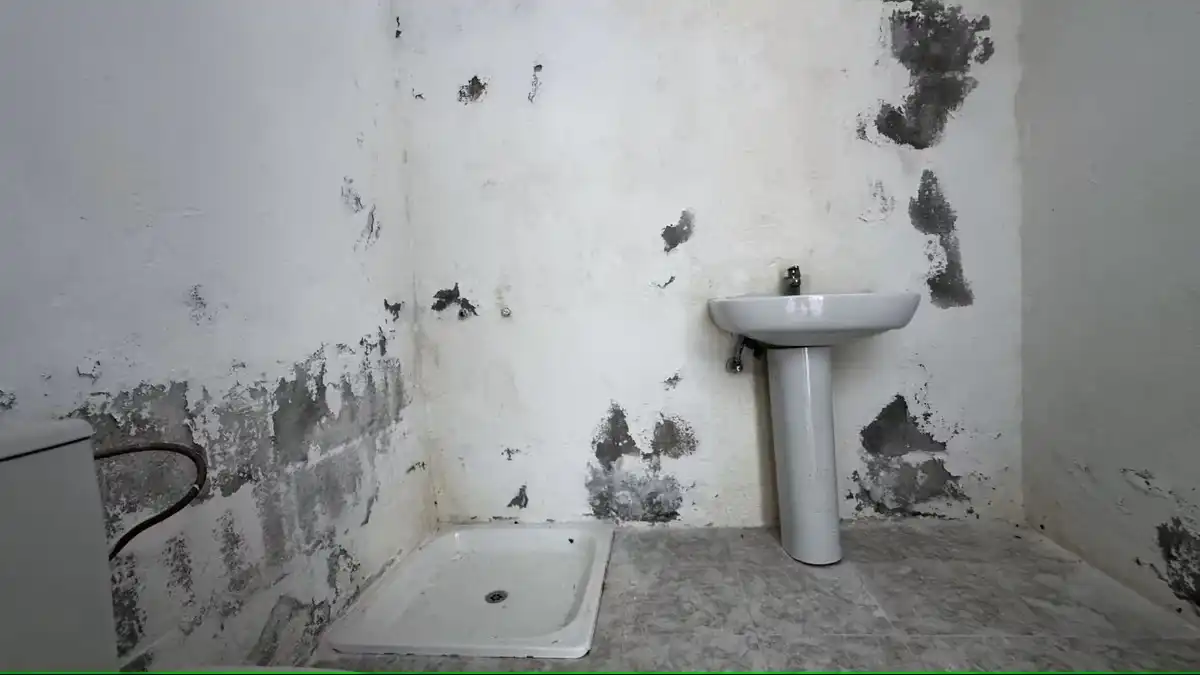 Bathroom of Houses for sale in Granadilla de Abona  with Terrace