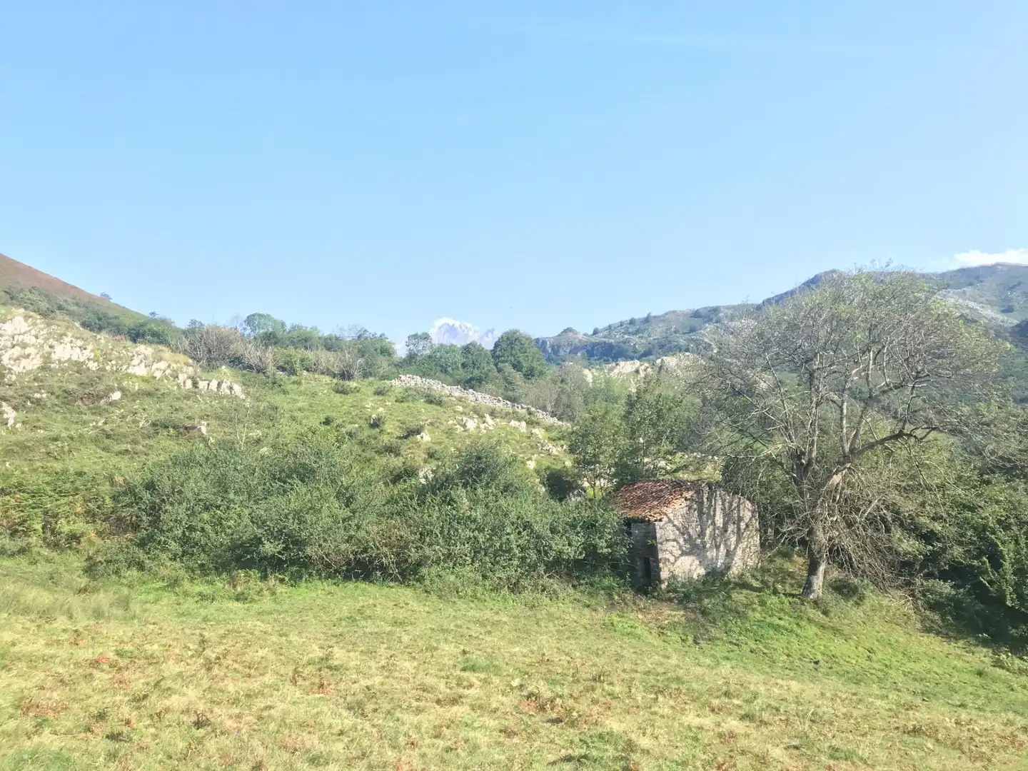 Terreno rustico in vendita a Cangas de Onís
