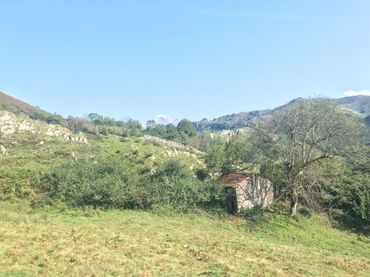 Terreny rústic en venda a Cangas de Onís