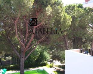 Garden of Attic for sale in  Córdoba Capital  with Heating, Private garden and Terrace