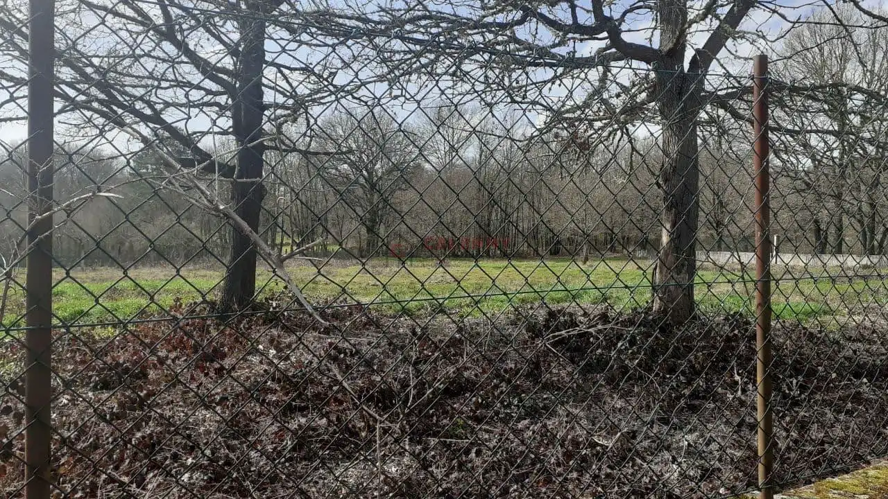 Terreni e lotti in vendita a Nogueira de Ramuín, imagen 9