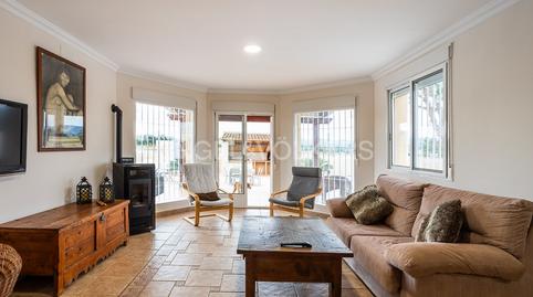 Foto 4 de Finca rústica de lloguer a Centro Urbano, Alicante