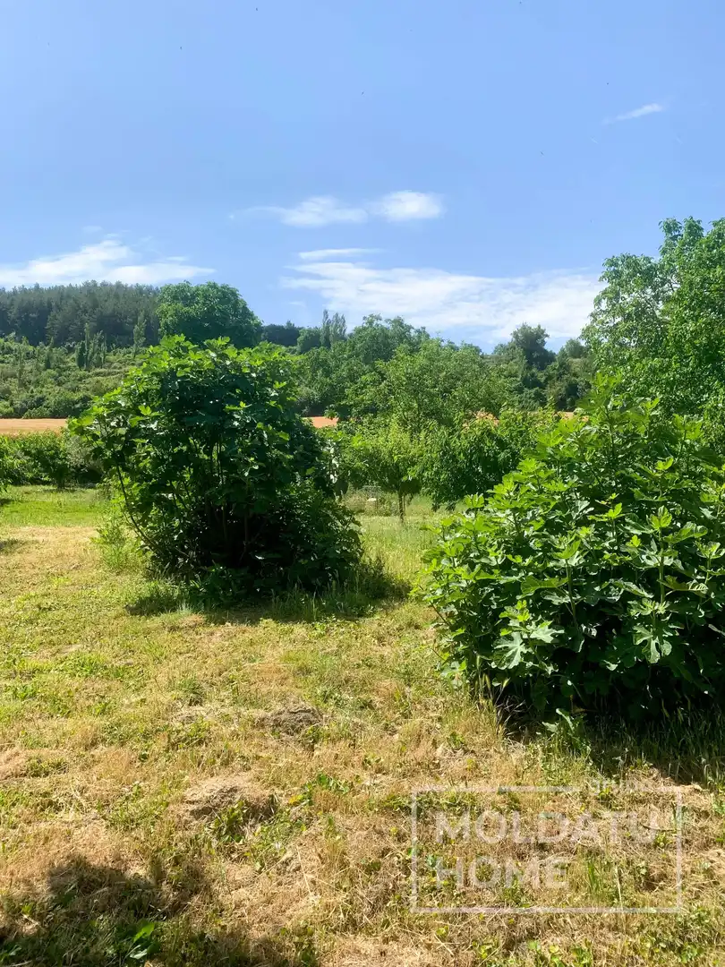 Terreno en venta en Belascoáin