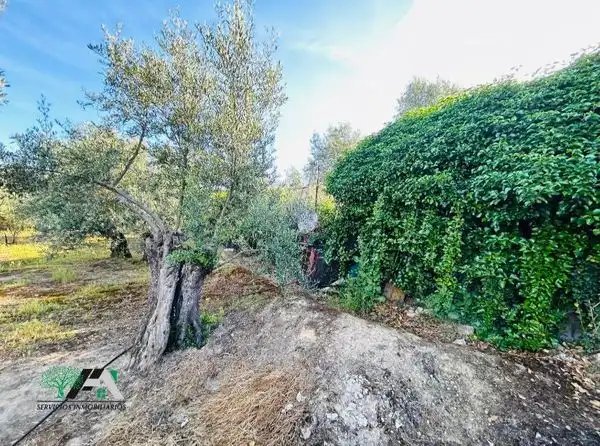 Terreni e lotti in vendita a Baeza, imagen 25