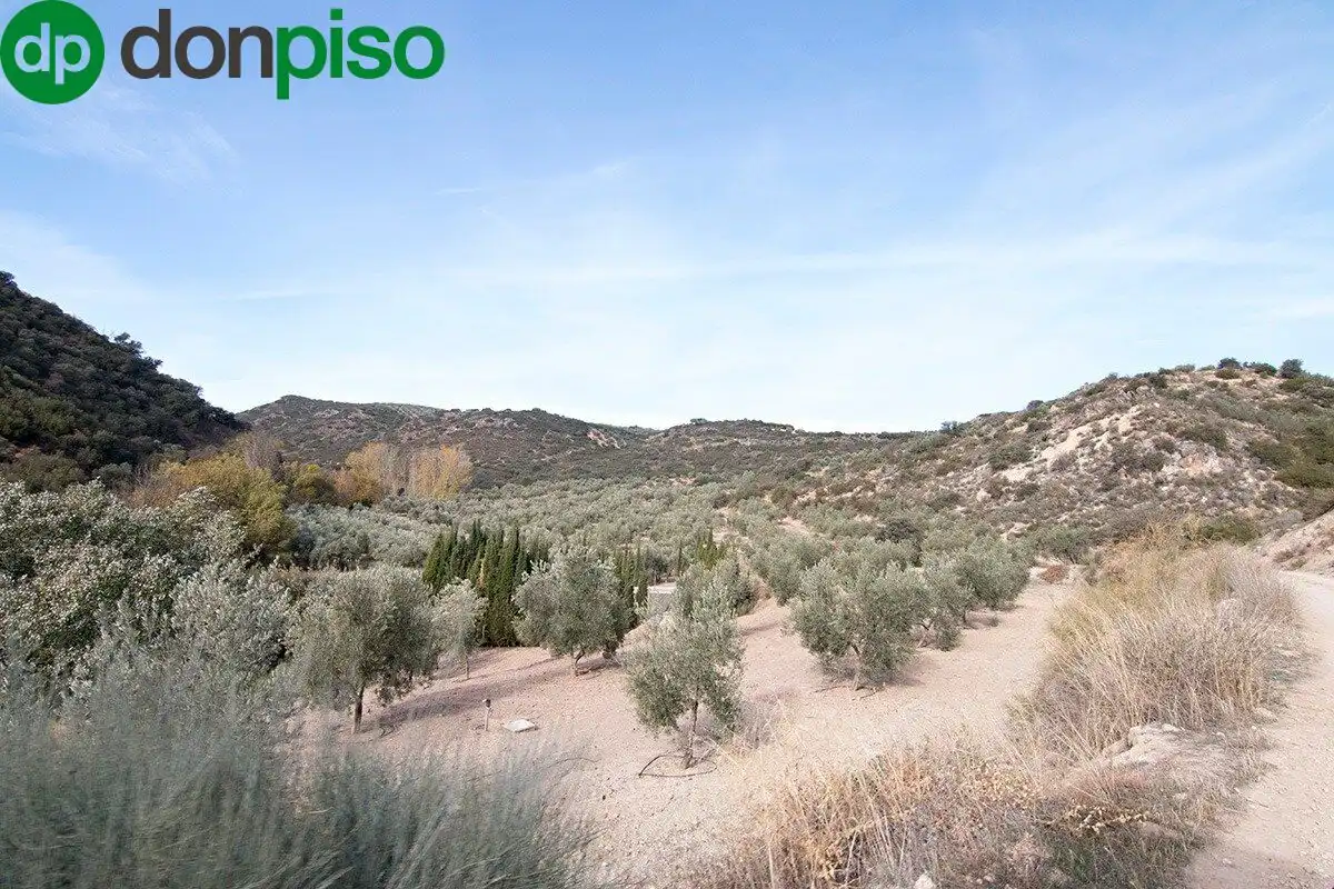 Casa rústica en venda a CORTIJO LA BARRAGANA, imagen 21