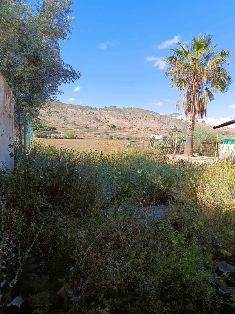 Finca rústica en venda en Hondón de las Nieves / El Fondó de les Neus