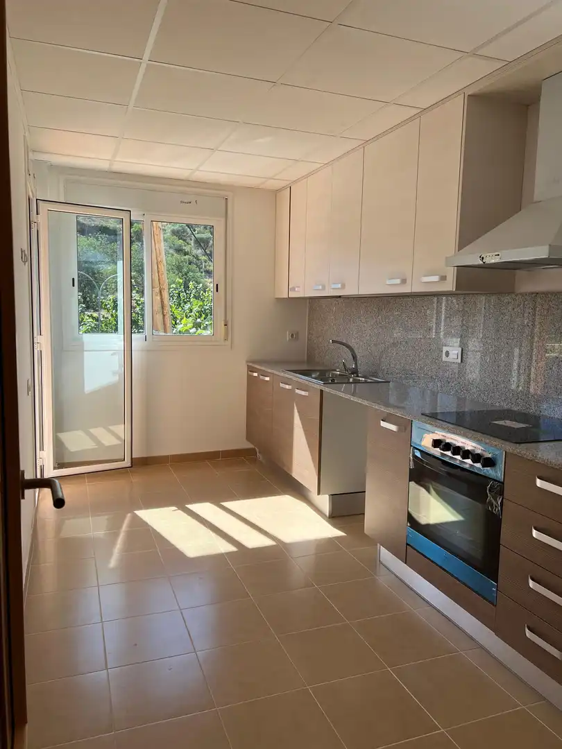 Kitchen of Flat for sale in Aldover  with Terrace