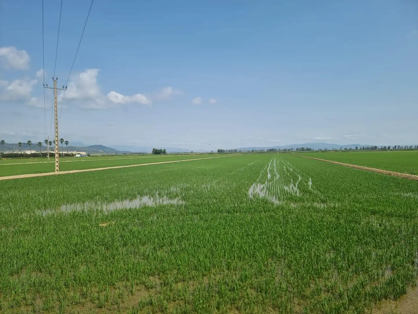 Land for sale in La Ràpita