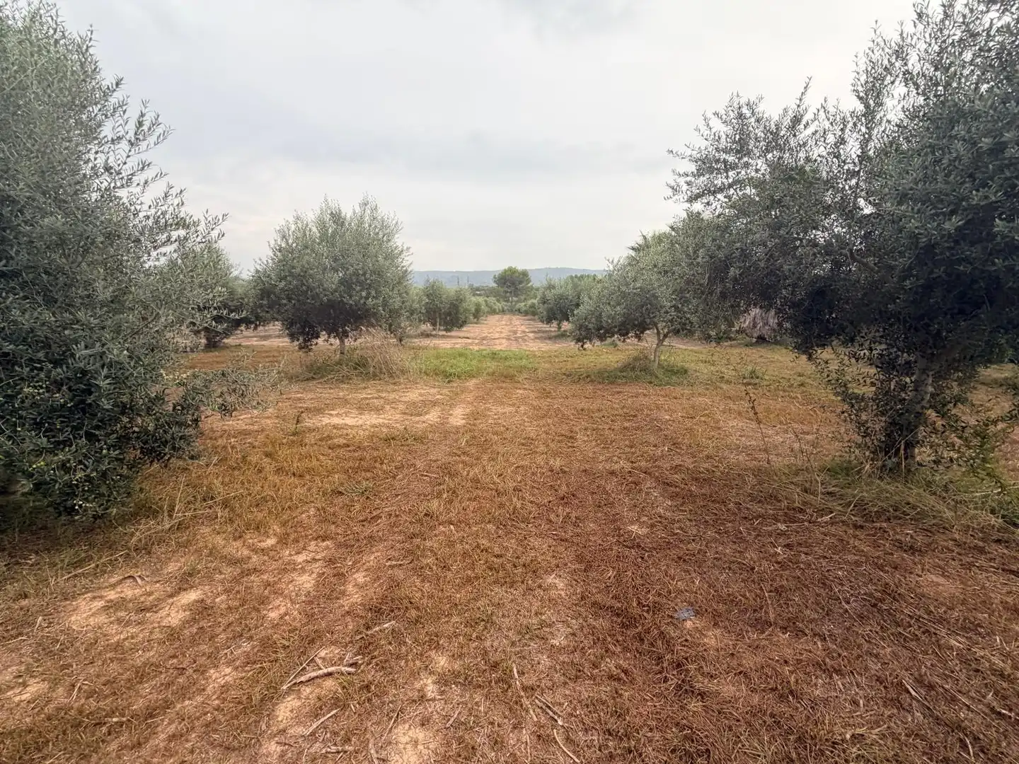 Residencial en venta en Benissoda, Valencia
