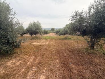 Terreno residenziale in vendita a Agullent