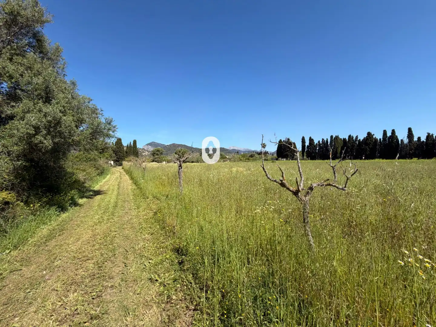 Finca rústica en venta en Binissalem
