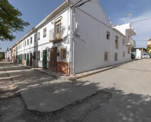 Vista exterior de Casa o xalet en venda en La Malahá
