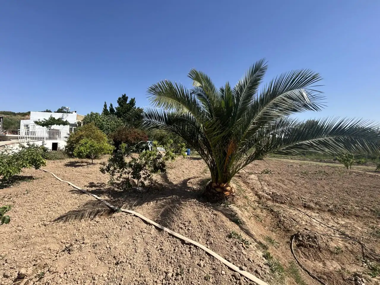 Country homes for sale in Corella  with Private garden, Terrace and Storage room