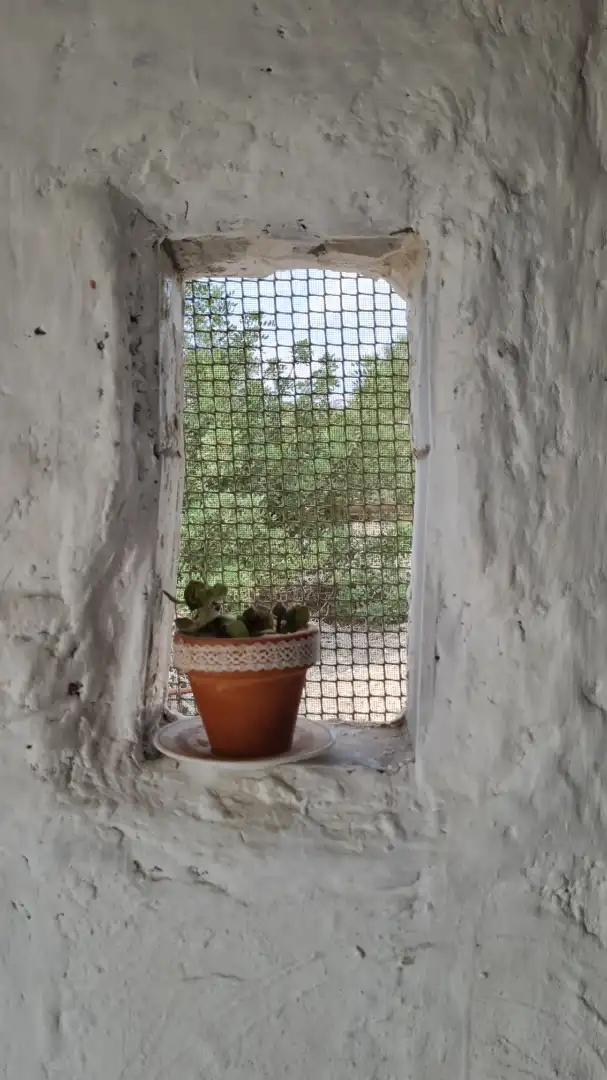 Jardí de Casa o xalet en venda en Elche / Elx amb Jardí privat, Traster i Moblat