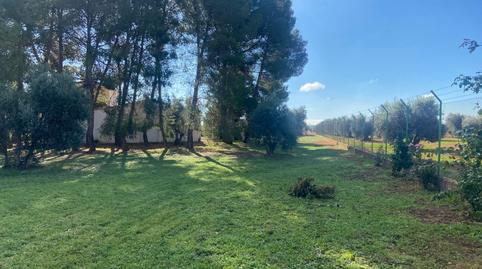 Foto 5 de Casa o chalet en venta en  las Cabras, Almagro, Ciudad Real