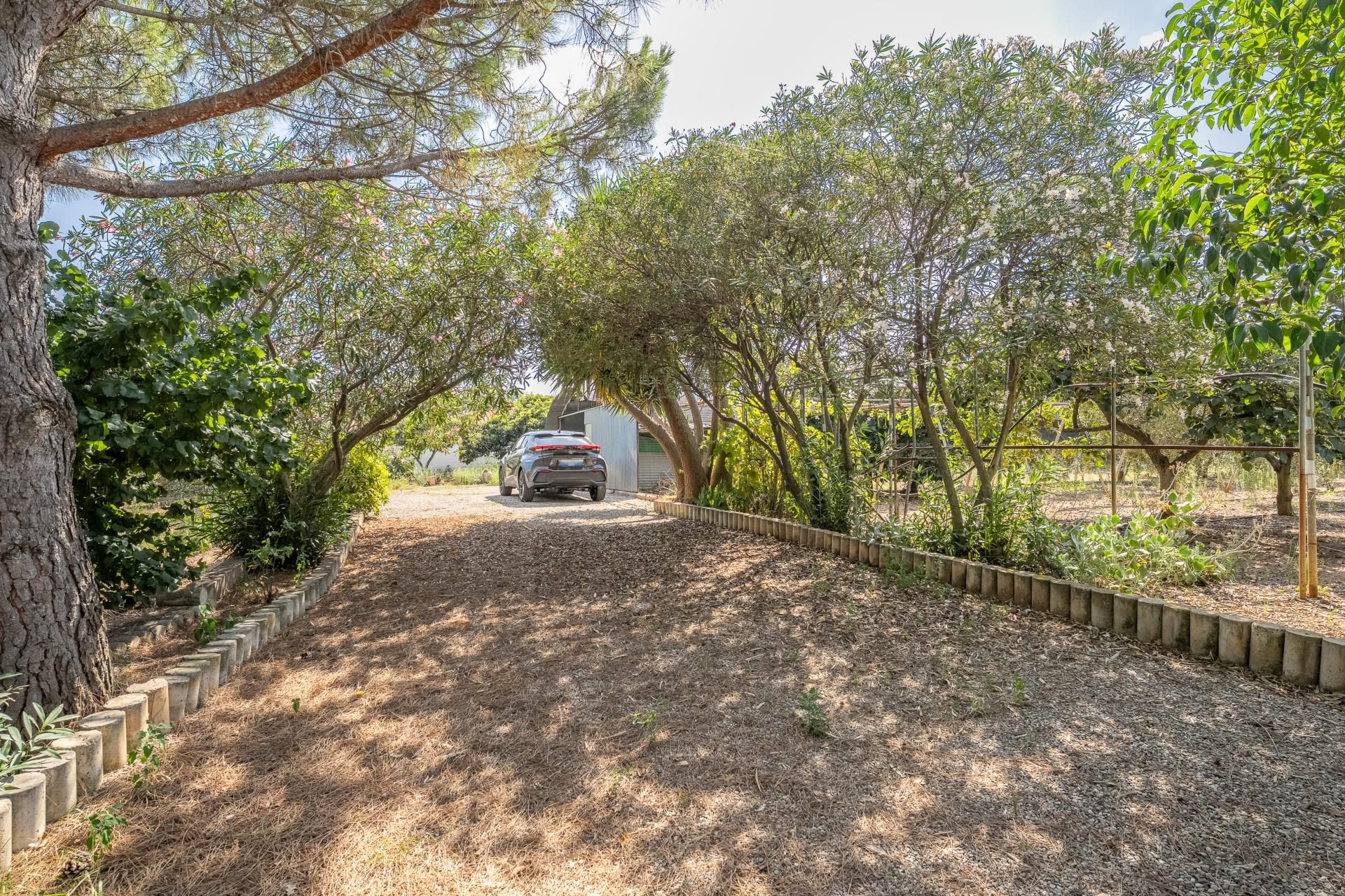 Vista exterior de Finca rústica en venda en Riudoms amb Calefacció i Jardí privat