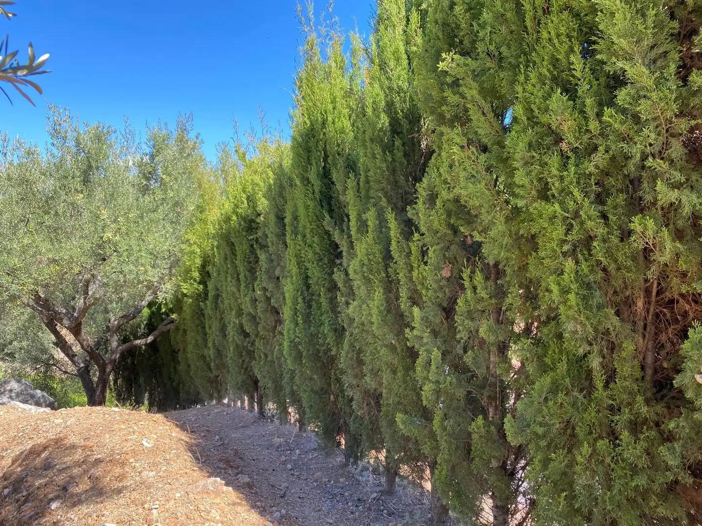 Country homes for rent in Galera  with Private garden, Swimming Pool and Oven