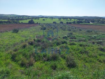 Lands and plots for sale in Aldea los Rubios