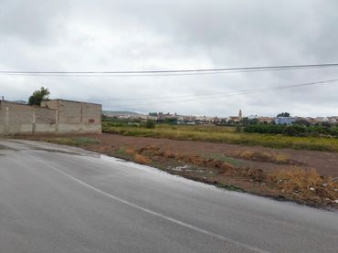 Terreny rústic en venda a L'Alcúdia de Crespins