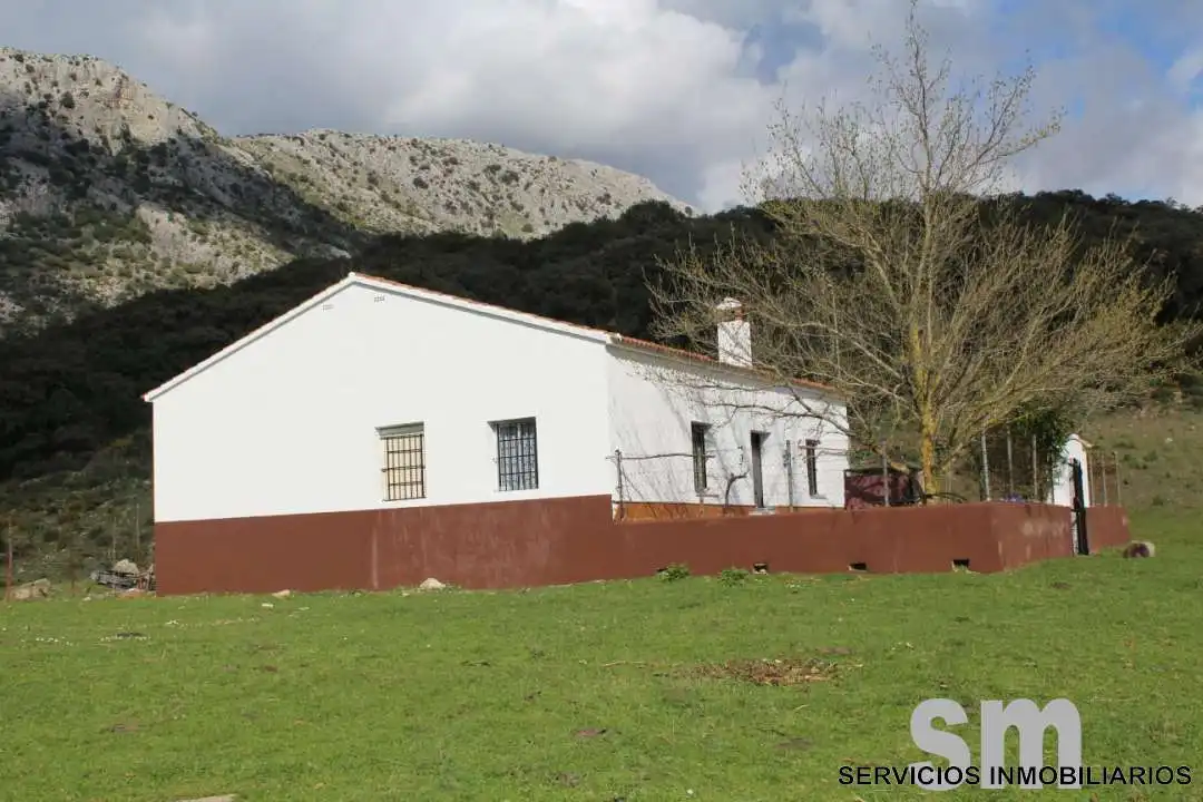 Terreni e lotti in vendita a Cortes de la Frontera, imagen 6
