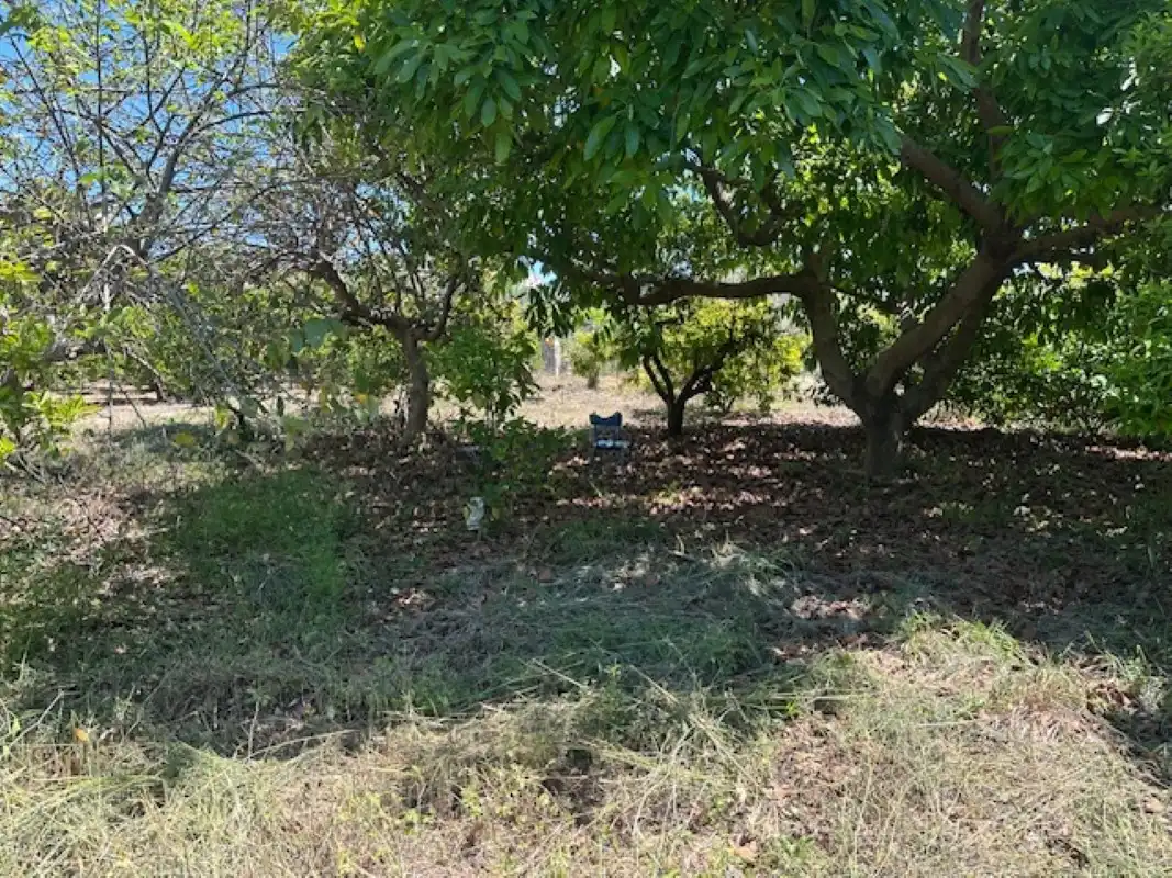 Terreno en venta en La Font d'en Carròs