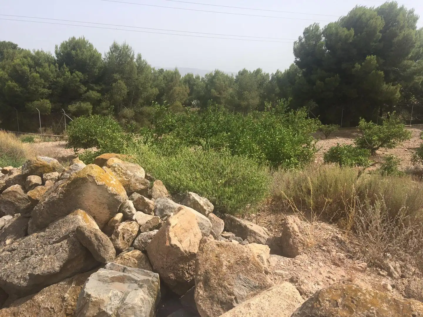 Country house zum Verkauf in Lorca mit Privatgarten und Schwimmbad