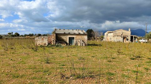 Finca con casas en Búger, imatge 5