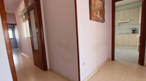 Photo 5 of Flat for sale in Olivo del, Puebla de la Calzada, Badajoz