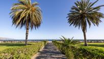 Vista exterior de Dúplex en venda en Gualchos amb Aire condicionat, Calefacció i Jardí privat