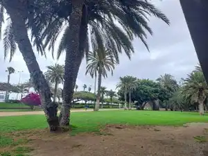 Vista exterior de Apartamento de alquiler en Las Palmas de Gran Canaria con Aire acondicionado, Parquet y Amueblado
