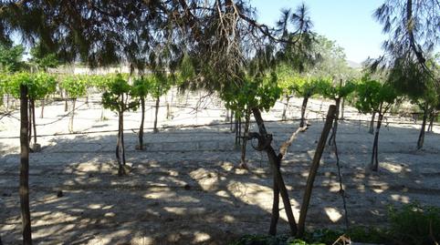 Foto 5 de Casa o xalet en venda a Pedanías Este, Alicante