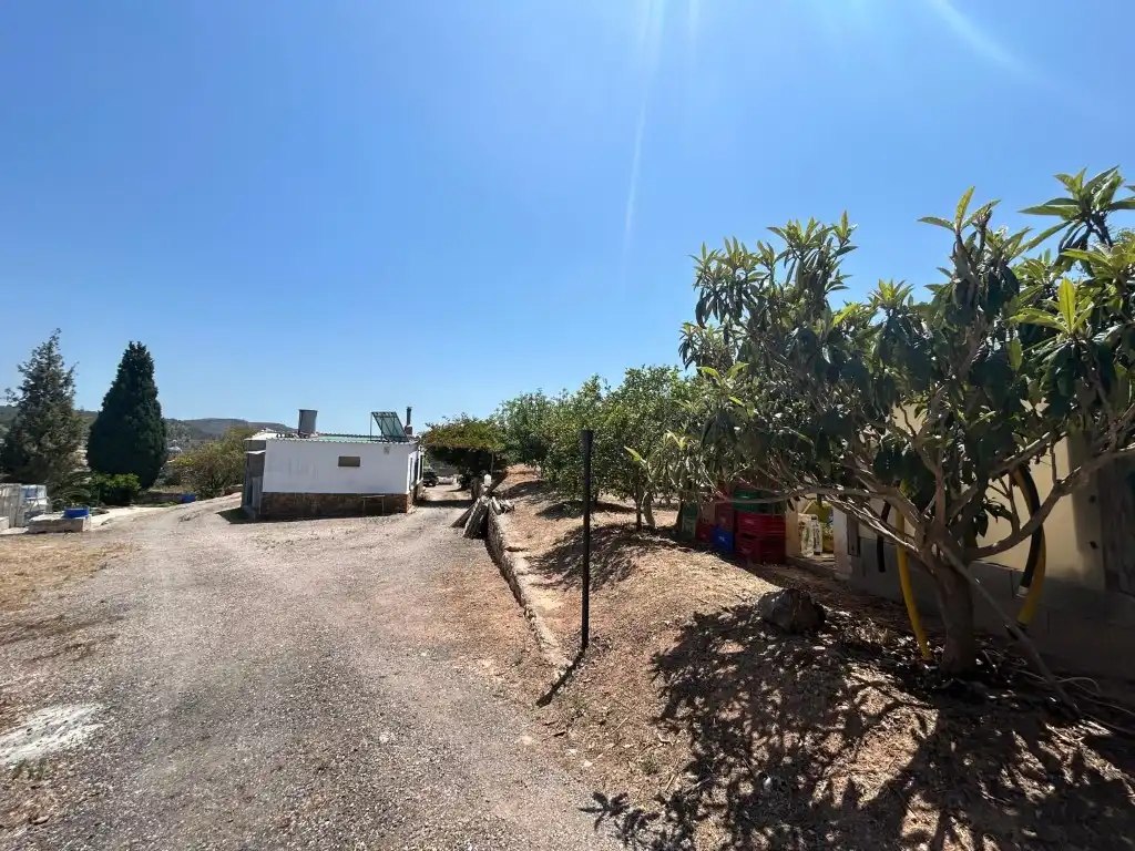 Finca rústica en venta en Sot de Ferrer
