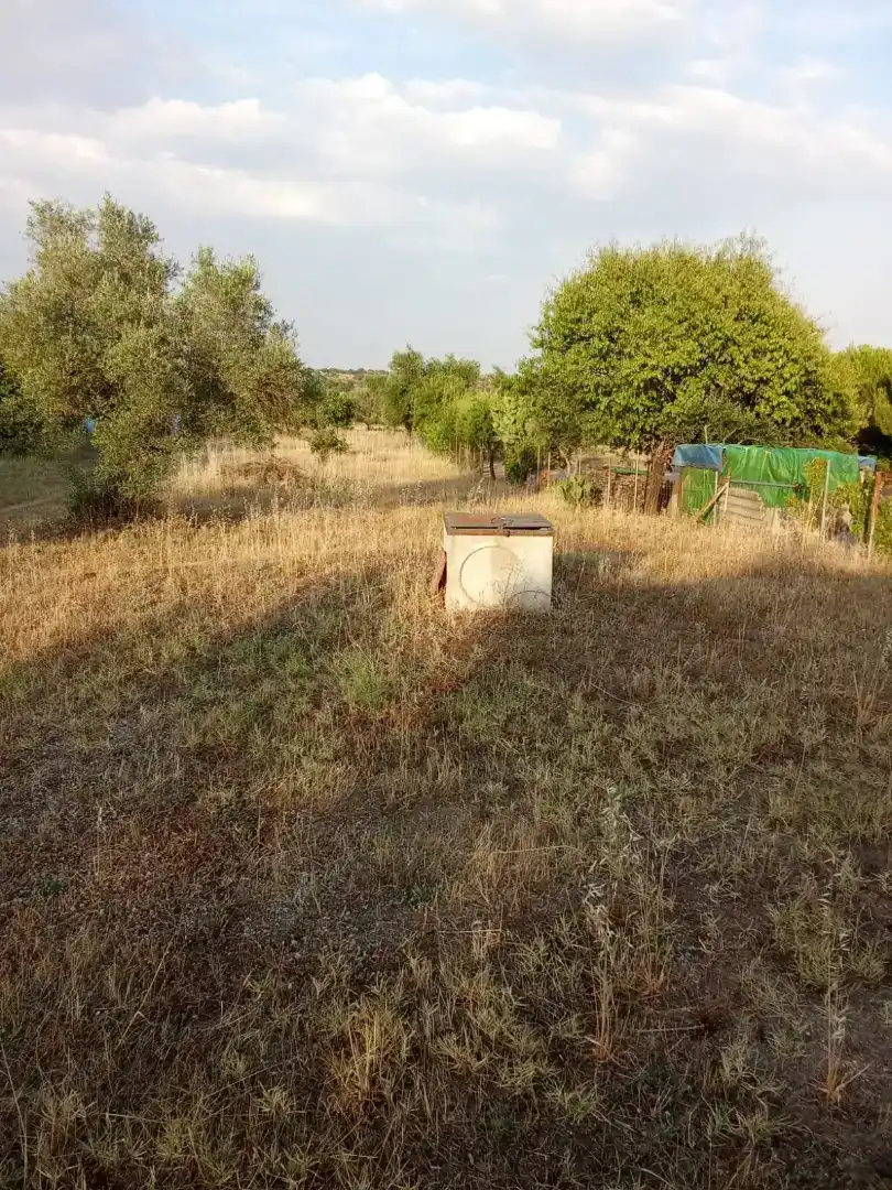 Finca rústica en venda en Arroyo de la Luz amb Jardí privat, Piscina i Moblat