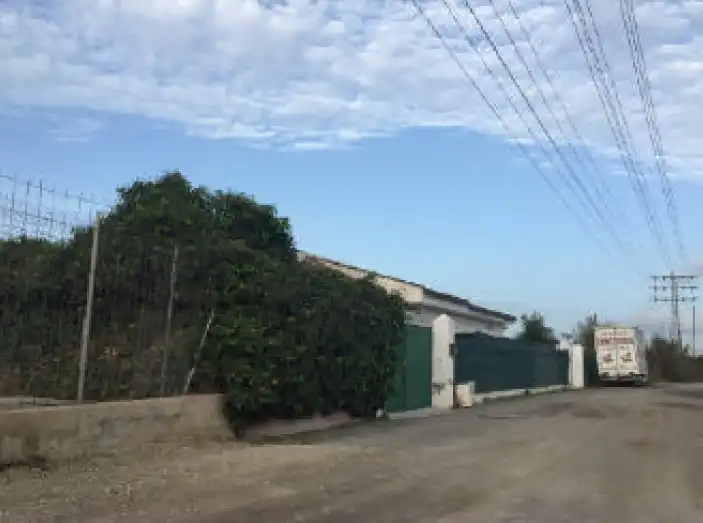 Casa o chalet en venta en Cm Leñadores , El Palmar