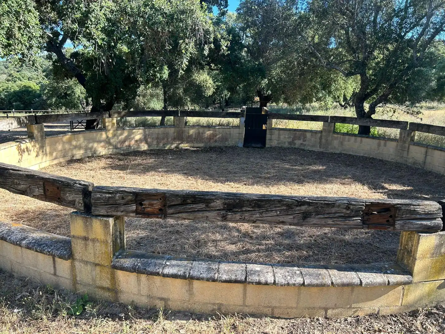 Finca rústica en venta en Alcalá de los Gazules