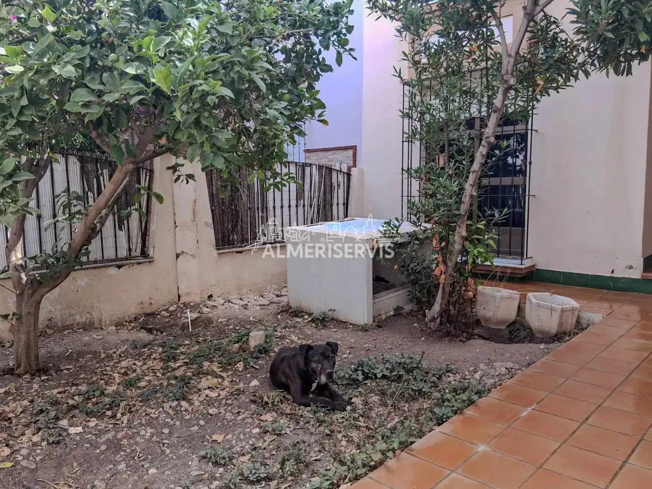 Vista exterior de Casa adosada en venta en El Ejido con Aire acondicionado, Terraza y Amueblado