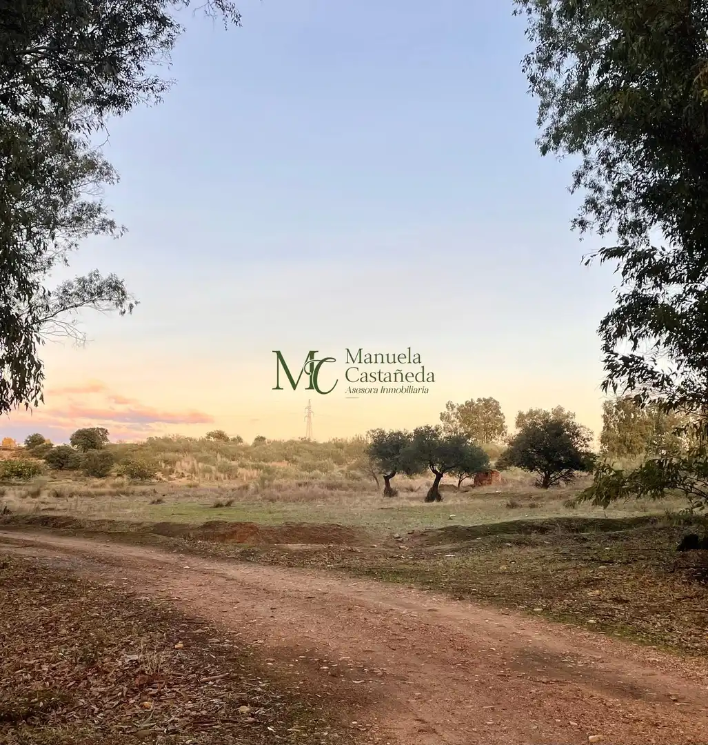 Finca rústica en venda en Mérida