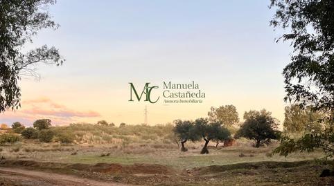 Foto 2 de Finca rústica en venta