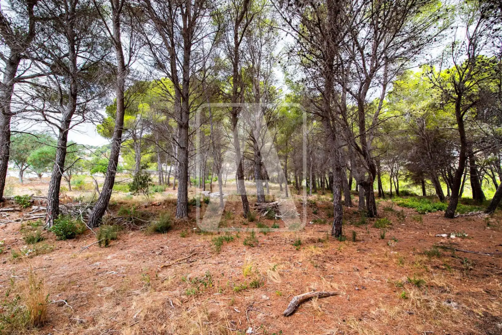 Detached house with pool for sale in Pinar del Advocat - Cometa, imagen 9