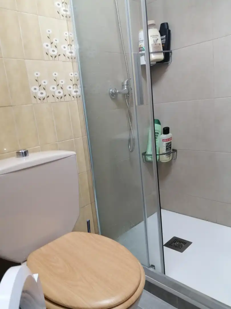 Bathroom of Flat for sale in Ourense Capital   with Parquet flooring, Terrace and Storage room