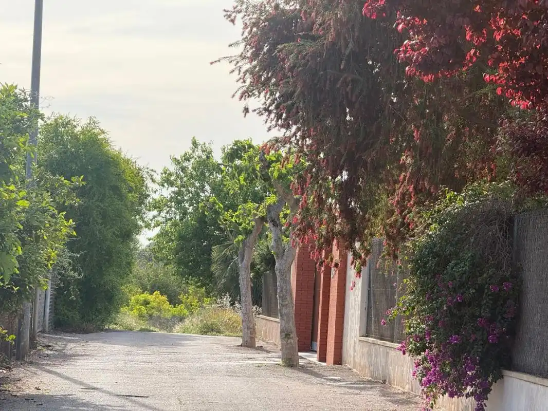 Vista exterior de Finca rústica en venta en Murcia con Aire acondicionado, Calefacción y Trastero