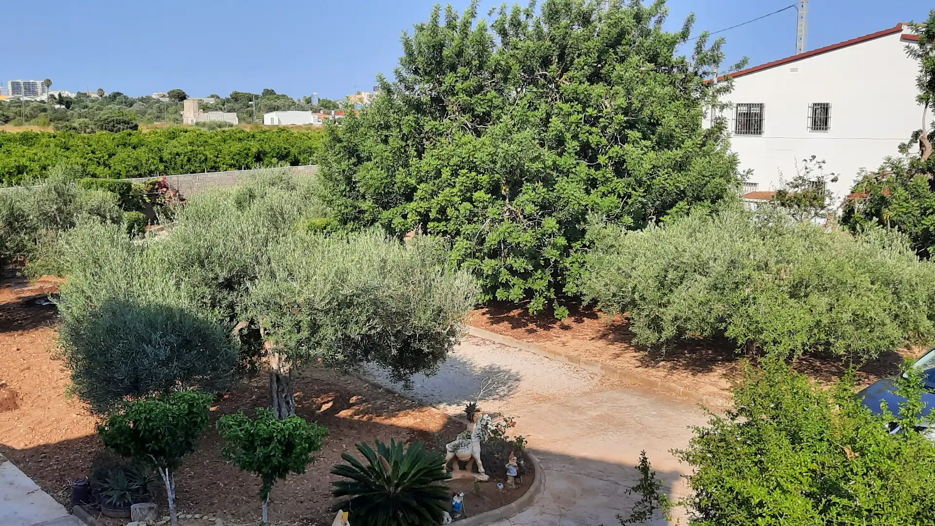 Villa avec terrasse à vendre à Les Salines, imagen 5