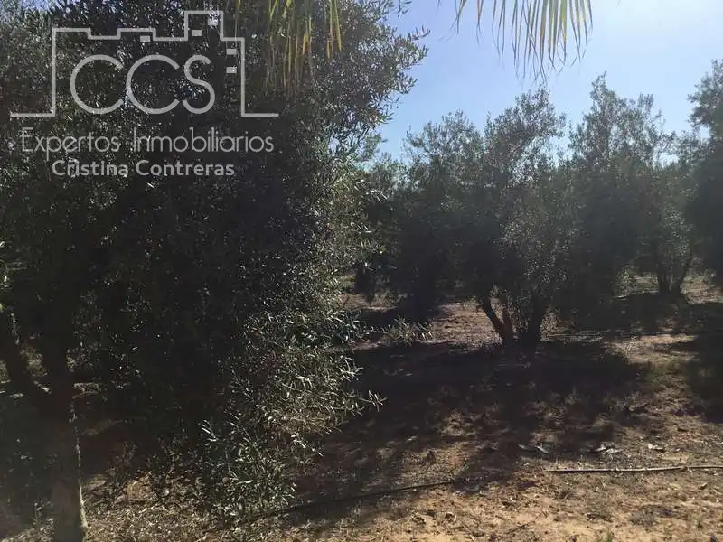 Casa rustica con piscina in vendita a Pilas, imagen 23