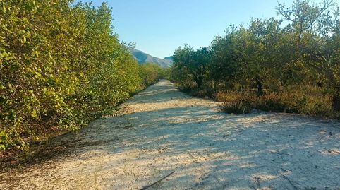 Foto 3 de Finca rústica en venta en Benferri, Alicante